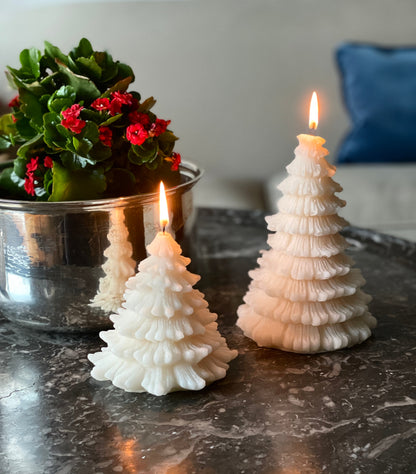 Pine Tree Candles - Ivory